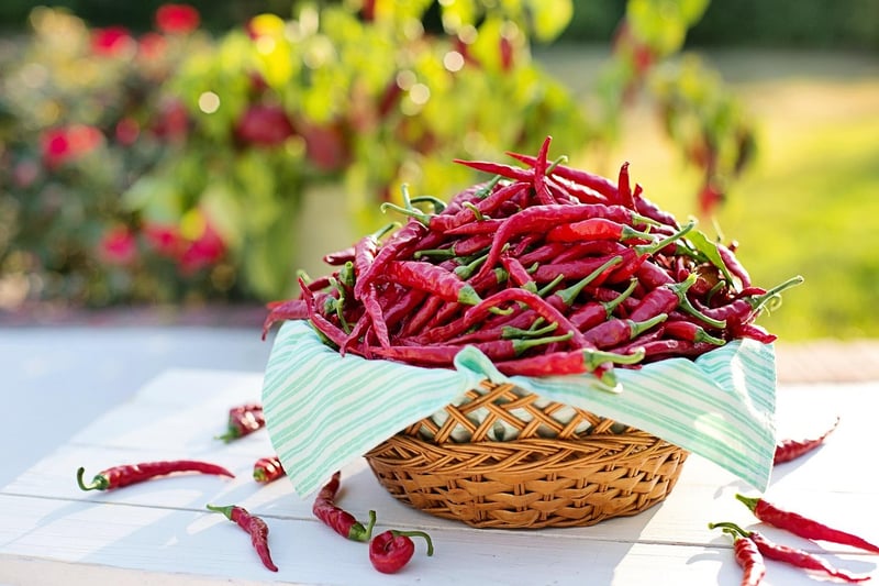 Mexican Chilies